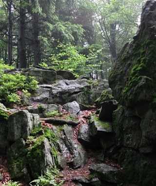 Goldsteig - Nordvariante - Etappe 10: Von Herzogau nach Furth im Wald