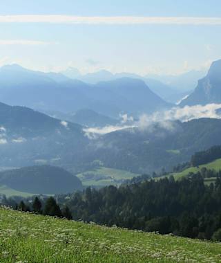 Blick in den Bregenzer Wald