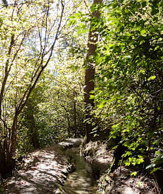 Der Ilswaal in Schlanders