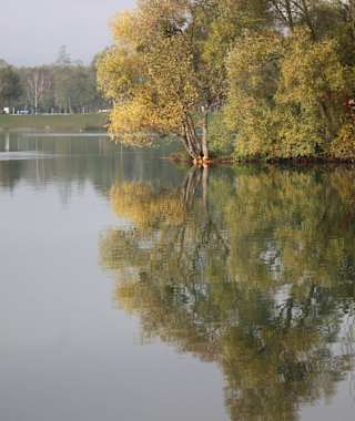 Kleine Halbinsel im Pleschinger See