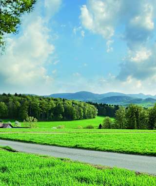 Zwischen Itingen und Diegten