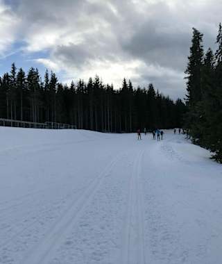 Joglland-Loipe Sankt Jakob im Walde
