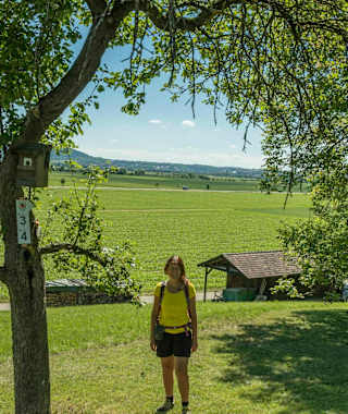 Zu Beginn führt das Kapellenwegle durch schöne Streuobstwiesen.