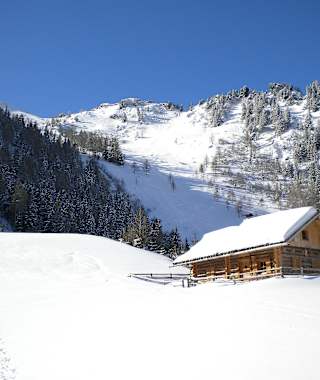 Die Jagdhütte neben der Hirschgrubenalm