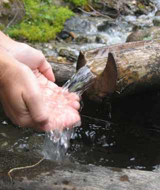 Klares Wasser am Quellenweg Waldrast