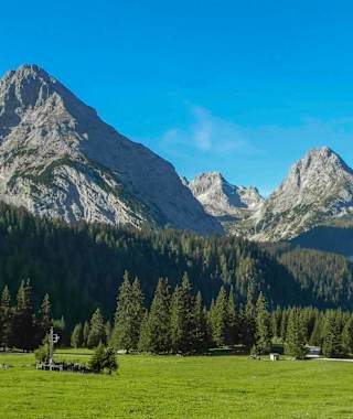 Liebliche Landschaft an der Ehrwalder Alm. Im Hintergrund Tajakopf und Sonnenspitze.