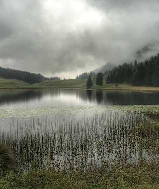 Bei Regen ist es am Seewaldsee besonders schön - die Stimmung ist einfach mystisch