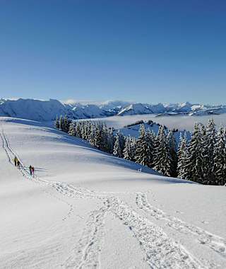 Auf dem Weg zum Kronberg: Im Hintergrund die nördliche Alpsteinkette