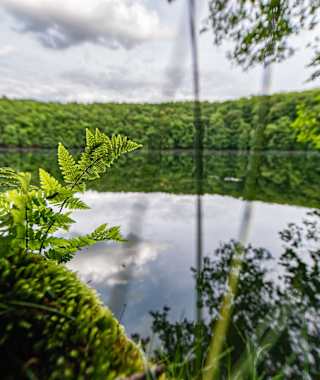 DER HOCHRHÖNER® Kuppenrhön - Etappe 9: Von Bernshausen nach Bad Salzungen