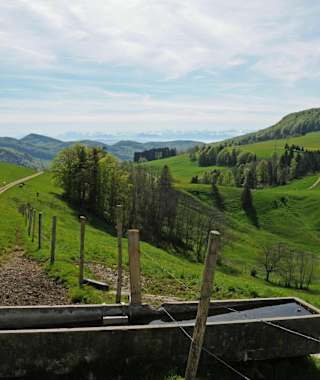 Blick Richtung Sol Hauberg