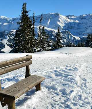 Ein Platz an der Sonne