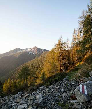 Blick auf die Tessiner Alpen