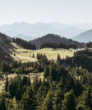 Blick ins Luchsgebiet