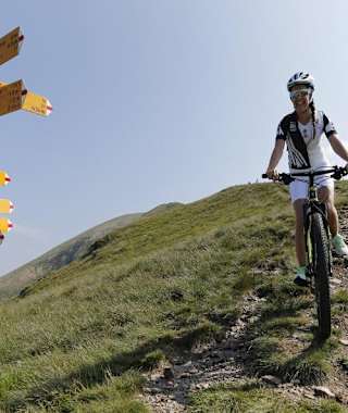 Steinige Wege bringen mehr Spass.