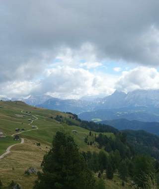 Über die schönen Almwiesen mit den typischen Heuschnupfen am Fuße des Peitlerkofels.