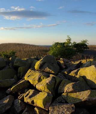 Goldsteig - Nordvariante - Etappe 17: Vom Lusen nach Mauth