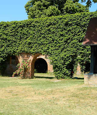 Klosterruine Himmelpfort