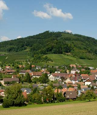 Weinanbaugebiet Maisprach