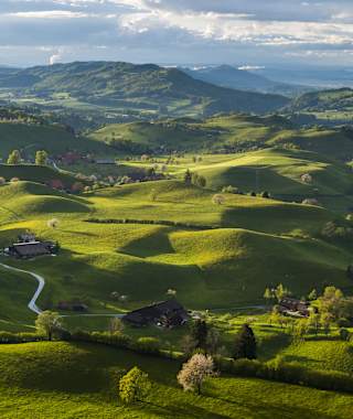 Schöne Hügellandschaft