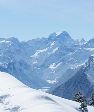 Aufstieg gegen die mittlere Fronalp