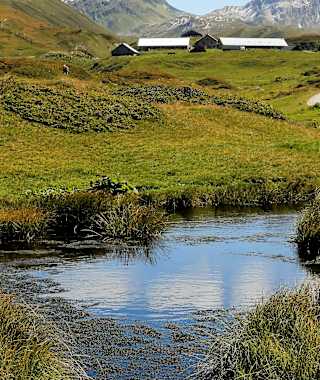 Unterwegs am Naturlehrpfad Piorotal