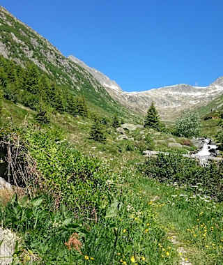 Trailrun: Oberalppass - Sedrun