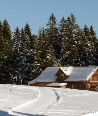 Schneeschuhtour Oberdorf - Gamperfin