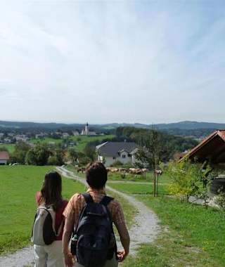 Goldsteig - Südvariante - Etappe 19: Von Lalling nach Zenting