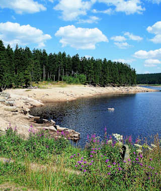 Der Oderteich bei Sankt Andreasberg
