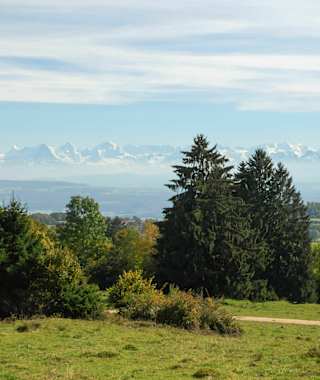 Panoramawanderung Orvin-Nods
