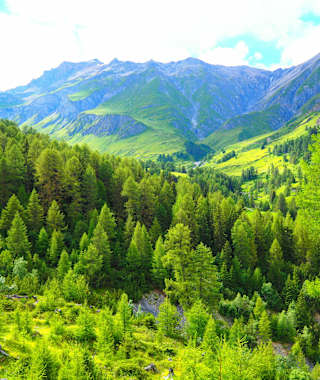 Von Scuol ins Val Sinestra