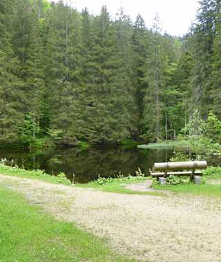 Wanderung zum Großen Falkenstein