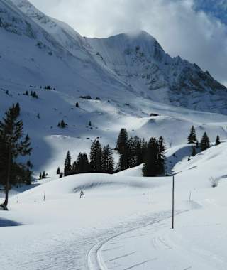 Panoramalaufloipe Salwideli