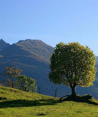 Fantastischer Ausblick auf den Pihapper