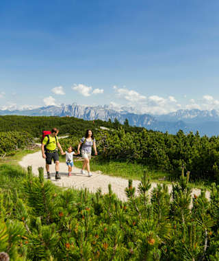 Panoramaweg bei der Schwarzseespitze