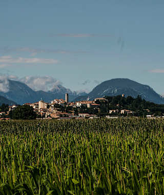Panorama San Daniele