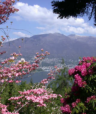 Botanischer Garten Gambarogno