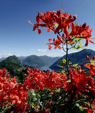 Parco San Grato in Carona