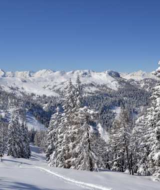 So lässt es sich schon mal gut auf die weiteren Skitourentage im Großarltal einstimmen