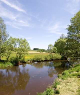 Goldsteig - Nordvariante - Etappe 6: Von Leuchtenberg nach Tännesberg