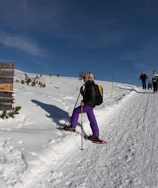 Bestens gepflegter Winterwanderweg zur Getrumalm