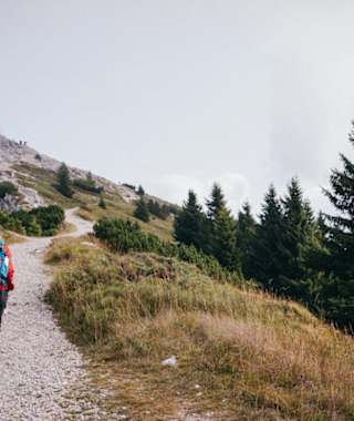 Kurz vor dem höchsten Punkt des Pizzo di Levico oder Cima Vezzena.