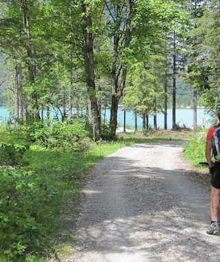 Kurz vor dem Plansee