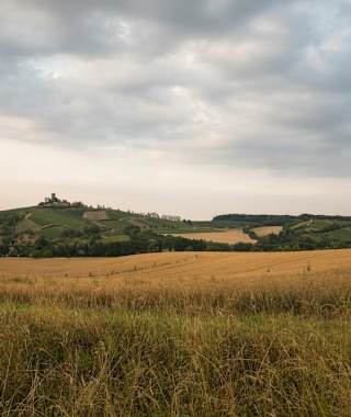 Blick zur Burg Ravensburg