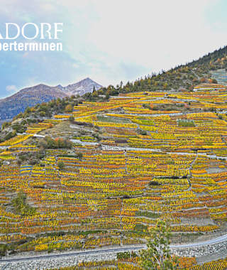 Reblehrpfad Visp und Tärbiner Kulturweg