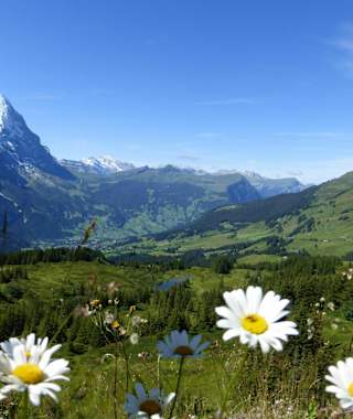 Rundwanderung Reichenbachtal