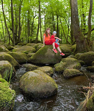 Goldsteig - Südvariante - Etappe 12: Von Falkenstein nach Wiesenfelden