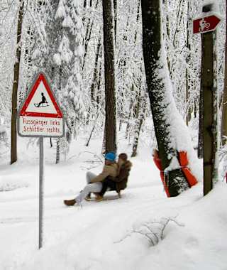 Schlittelspass am Üetliberg
