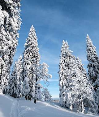 Am Spießhorn: Unberührte Hänge versprechen höchsten Skigenuss.
