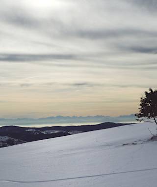 Mystische Stimmung unterhalb des Belchengipfels mit Blick über das Mittelland zu den Alpen.